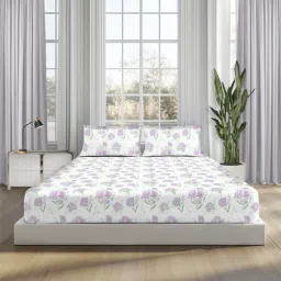 sleepsia Lavender 100% Cotton Queen Double Bedsheet 180 TC with 2 Pillow Covers-picture-19
