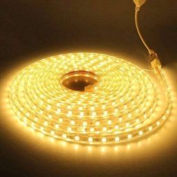 218 LEDs 3.05 m Yellow Steady Moon Rice Lights-15