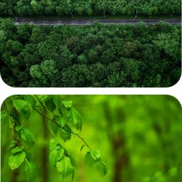 escope Pack fo 2 Nature Printed MousePad for Computer, PC, Laptop Mousepad-11