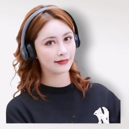 Comfortable Wireless Headphones with Mic for All-Day Listening._PU Bluetooth & Wired Headset-image-94