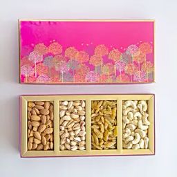 Bird Illustrated Dry Fruits Box By Kesar-51