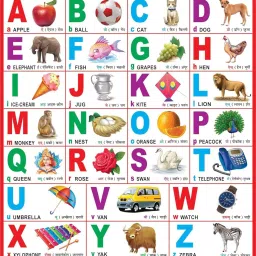 English Alphabet Chart For Kids | 20x30Inch (51x76cm)| Laminated chart | Waterproof and Non tearable Wall Chart. Paper Print Paper Print-15