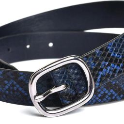 Women Casual Blue Artificial Leather Belt-image-71