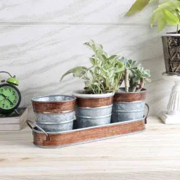 amaya decors Planter Ads 43-picture-5