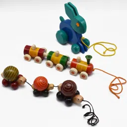 Wooden Rabbit Pull Along Toy |Turtle |Train (3 Joint) For Kids-35
