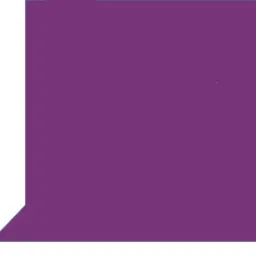 Cam cart 8ftx12ft Purple Background With 9ftx9ft Background stand Kit With Bag Reflector-image-20