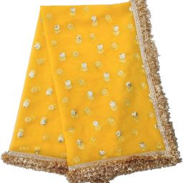 Net Embellished Yellow Women Dupatta-image-48