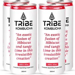 Kombucha Naturally Sparkling Herbal Probiotic Super Drink|Antioxidant&Hydration Hibiscus Drink-image-92