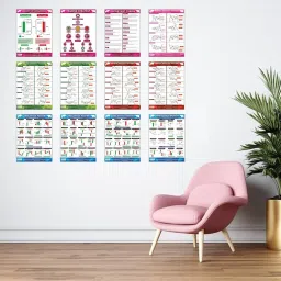 pixelpage publications Stock Market Trading Chart Pattern Poster (Pack of 17 poster) | An Comprehensive coverage of candlestick and classic chart patterns for Trading Room Setup Paper Print image 3