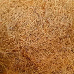 jugnoo Nesting Material for Birds for Making Nest, Manually Extracted Natural CoirFiber Bird House image 2