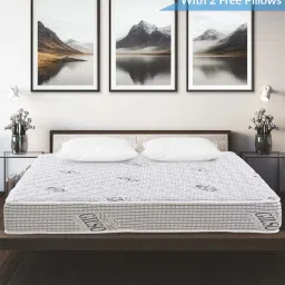 gilson Ruby Reversible Orthopedic 5 inch Bonnel Spring King Mattress (With 2 Free Pillows)-picture-19