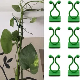 Pack Of 30 Pcs , Plant Climbing Wall Fixture Clips Wall Plant Holder Plant Straightener-17