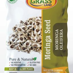 Moringa PKM1 Hybrid (Drumstick Seed) Seed-11