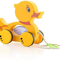 Pull Along Animal String Toddler Toy with Attractive Design For Kids (Duck)-image-17