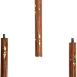 walking stick Walking Stick-image-9