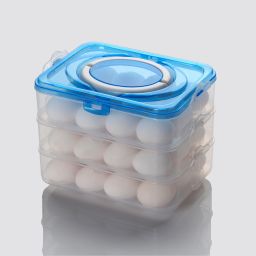 Plastic Egg Container- 3 dozen-11
