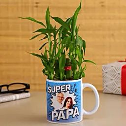 2 Layer Bamboo Plant In Super Dad Ceramic Mug-41