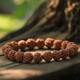 NVR Unisex 5 Mukhi Rudraksha Stretchable Elasticated Bracelet-40