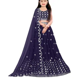 F Plus Fashion Multi Net Lehenga Choli-image-17