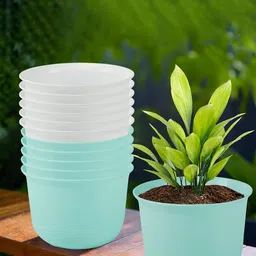 Kuber Industries 12 Pcs Planters With Plate-64
