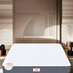 COIRFIT Grey Quilted 5 Zone Shape Medium Firm Memory Foam Single Size Orthopedic Mattress-image-66