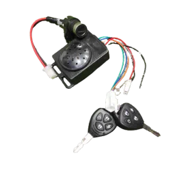 EV ANTI THEFT ALARM WITH REMOTE – CENTRE LOCK-image-88