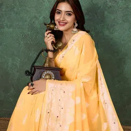 all about you Ethnic Motifs Mirror Work Pure Georgette Saree-picture-10