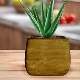 LASAKI Brown Nebi Ceramic Planters-image-40