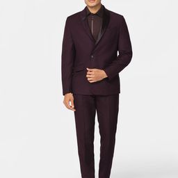 Blackberrys Self Design Slim-Fit Single-Breasted Two-Piece Suit-7
