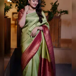 CANIZZARO Women Woven Design Banarasi Saree-picture-18