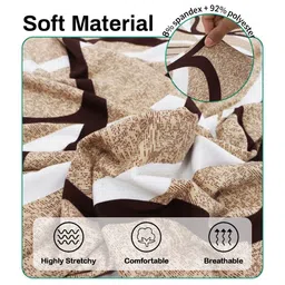 Aura Beige & White Printed Polyester 4 Piece Sofa Cover With Arms-image-36