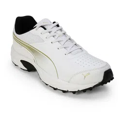 Puma Cricket Power 2.0 Men's Cricket Shoes-39