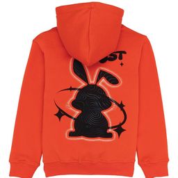 Status Quo Boys Graphic Printed Hood Cotton Pullover Sweatshirt-picture-57