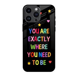 QRIOH Typography Printed iPhone 14 Pro Max Back Case Mobile Accessories-picture-14