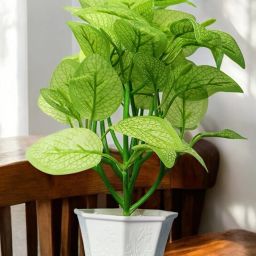 Artificial money Plant with pot for home decoration indoor Plant Artificial Plant with Pot-0