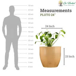 Go Hooked Brown & Green Pluto-Shaped Durable Planter image 5