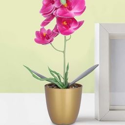 Ekhasa Pink 1 Pieces Hanging Orchid Artificial Flower With Pot-image-76