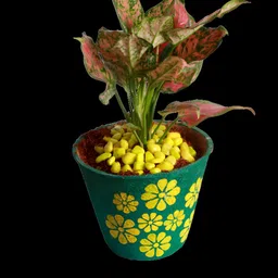 Aura Printed Coir Pot-image-22