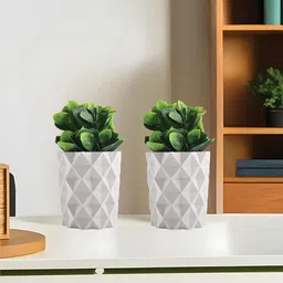 Kuber Industries White 2 Pieces Succulent Artificial Plant With Pot-image-26