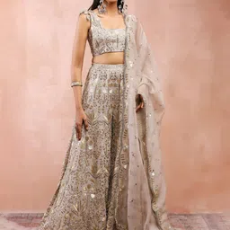 Payal Singhal Embellished Ready to Wear Lehenga & Blouse With Dupatta-image-15
