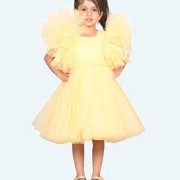 Modish Flutter Sleeve Net Fit & Flare Dress image 3