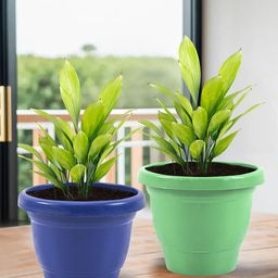 Kuber Industries Green & Blue 2 Pieces Versatile Sturdy Flower Planters-image-98