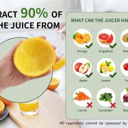 voltegic Household interface low noise wireless citrus juicer Mixer Juicer Jar image 3