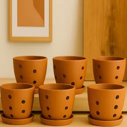The handicraftian Orange 6 Pieces Hexane Orchid Terracotta Medium Planters-picture-18