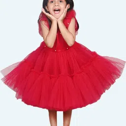Modish Net Fit & Flare Dress image 5