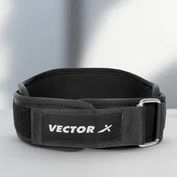 VECTOR X Wide Padded Back Support Belt-image-54