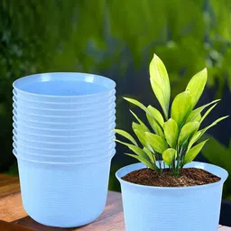 Kuber Industries Blue 12 Pieces Round Planters with Plate-image-55
