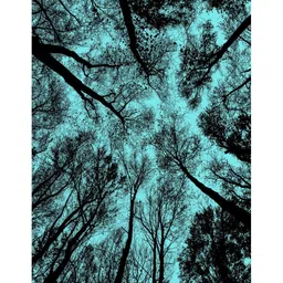 Aura Teal & Black Tree Printed Light Blocking Window Curtain image 4
