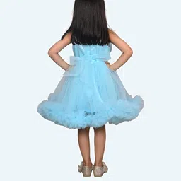 Modish Net Fit & Flare Dress image 2