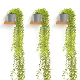 Kuber Industries Grey & Green 3 Pieces Artificial Plants With Pot-55